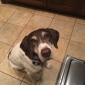 Meet your Posher, Annie